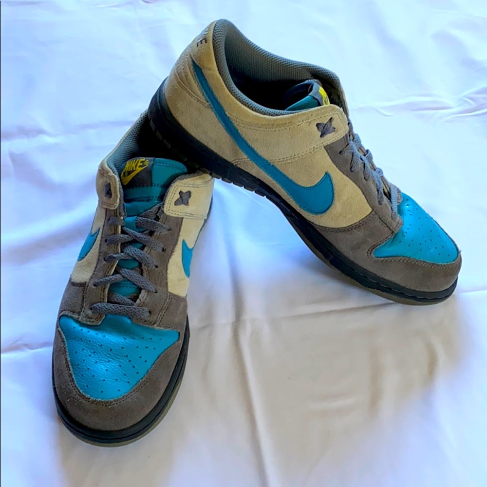 Nike Dunks low